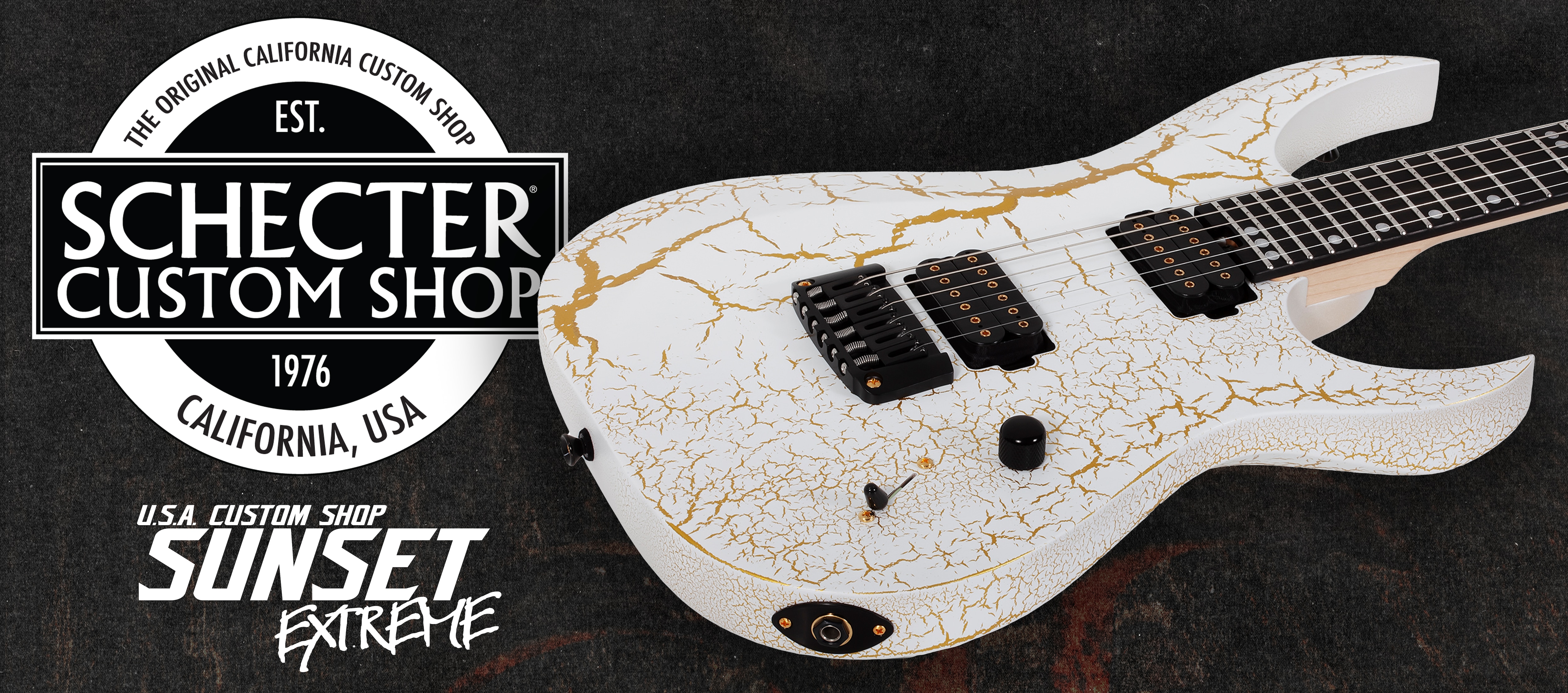 schecter c-5 custom ジャンク扱い 自作ピックガード 5弦